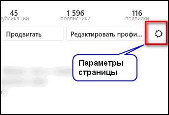 Параметры страницы в Инстаграме